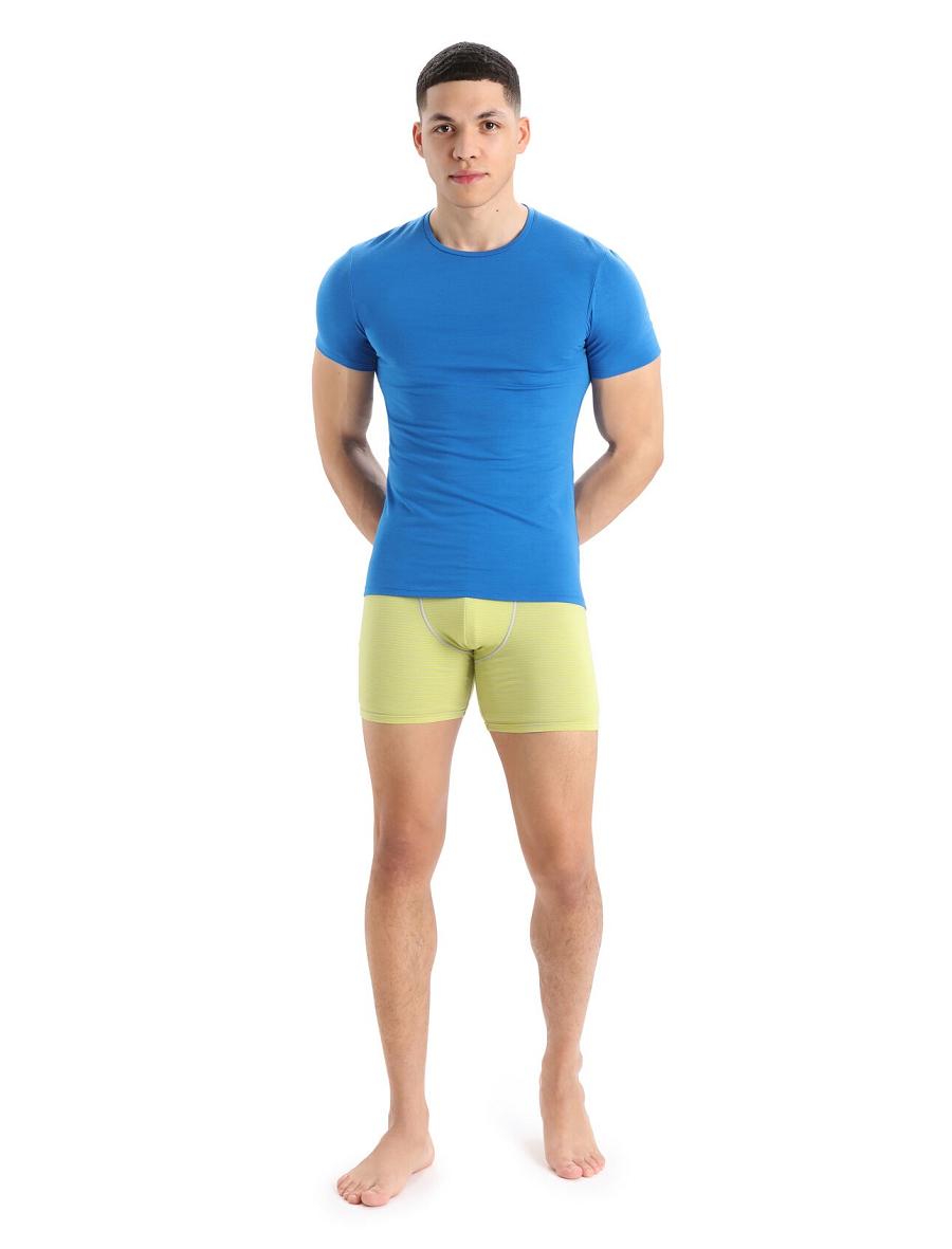 Ether / Shine Men's Icebreaker Merino Anatomica Long Boxers Underwear | USA 1283UZGT